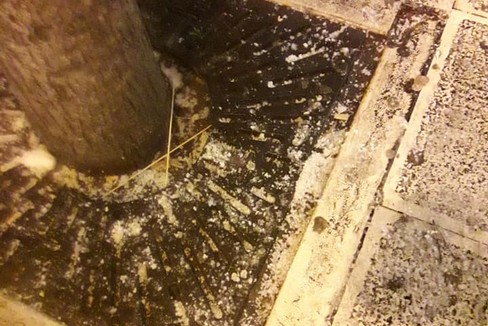 Alberi in via Imbriani