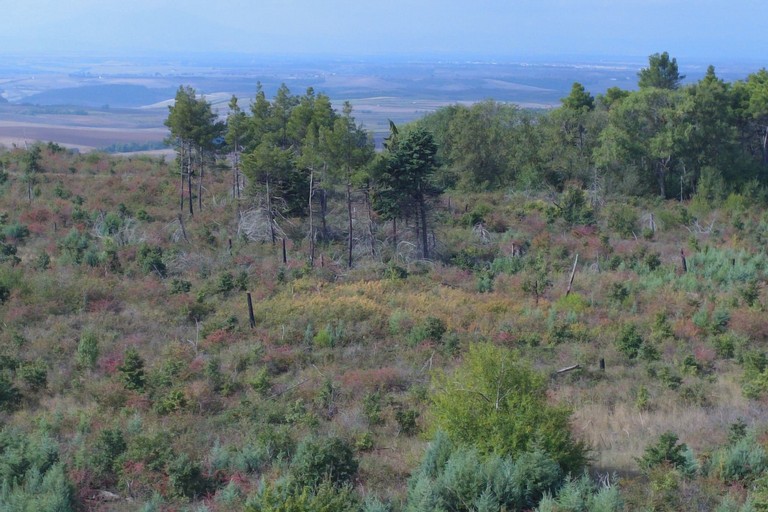 Parco Alta Murgia