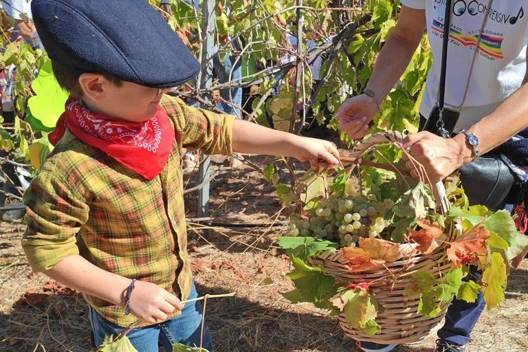L’Istituto "Jannuzzi - Di Donna" di Andria trasforma il giardino della scuola in una festa d’autunno