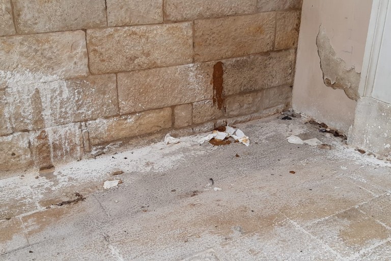 muro della Cattedrale imbrattato di escrementi