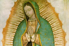 Festa liturgica della Madonna di Guadalupe, grande devozione ad Andria