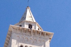 Dog's Hostel, protesta estrema: Vito Malcangi sul cornicione della Cattedrale di Trani