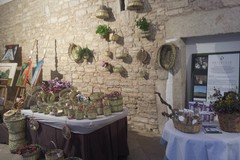 Celebrata la Giornata della Sostenibilità: api e biodiversità nel Parco