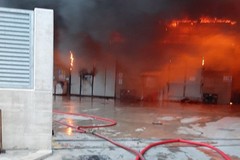 Incendio Dalena, Troia (Verdi): "Dedicare attenzione anche ai territori limitrofi, quali Andria e Trani"