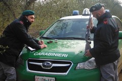 Carabinieri Forestali di Andria: sequestrate armi a tre cacciatori