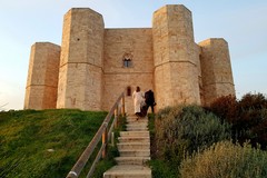 Concessione della gestione del Bosco Finizio e della Pineta di Castel del Monte: pubblicato bando di gara