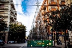 L'albero di Natale è quasi pronto ad Andria: domani l'accensione in viale Crispi
