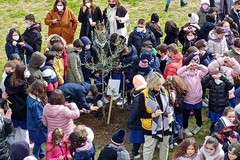 Benvenuta primavera, gli alunni del 1° Circolo Didattico “Oberdan” di Andria piantano due nuovi ulivi