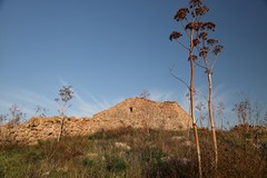 Parco Nazionale Alta Murgia, da domani la Commissione Unesco nel percorso di candidatura a Geoparco