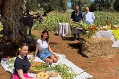 Il XXV aprile in Puglia all'aria aperta, tra verde ed animali, con fave, pane e pecorino