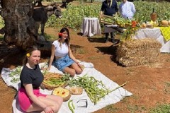 1° Maggio: gite e picnic per 32% pugliesi. Molto gettonato il barbecue, ma anche fave e pecorino