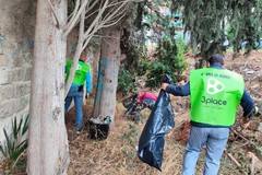 Azione di cleanup al “nuovo” bosco urbano di Andria