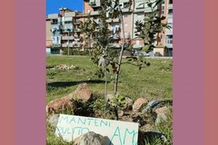 3place dona piante all'istituto comprensivo "Mariano Fermi"di Andria