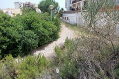 Insorge il cdx di Andria: «Erbacce in città ed ecosostenibilità: dal sindaco Bruno "lezione" discutibile ed imbarazzante”»
