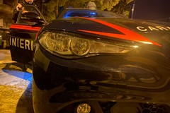 Arresti tra Trani e Bisceglie: sodalizio criminale inondava la Bat di droga