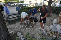 Un bell’esempio di amministrazione condivisa: la cura dei giardinetti di piazzale Giuseppe Colasanto