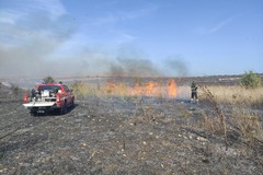 Ancora incendi sulla nostra Murgia: oltre 300 ettari vanno in fumo tra Minervino murge ed Andria