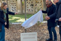 Un albero e una targa per la Shoah: Andria affida la Memoria alle radici