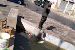 Ad Andria il pescatore di rifiuti in Piazza Catuma