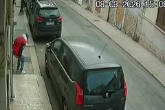Defeca in via pendio San Lorenzo ad Andria, ripreso dalle telecamere