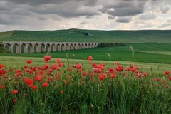 Il comune di Andria aderisce al protocollo per la valorizzazione del patrimonio naturalistico