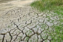Danni da siccità: ai comuni meno del 10% degli aiuti dovuti. A Cerignola e Andria assegnato poco più di un mln