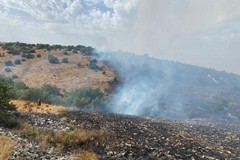 Due grossi incendi nei pressi di Castel del Monte e verso Spinazzola