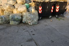 "Zona PIP abbandonata dal Comune: si vive nella spazzatura"