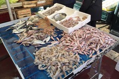 Stop al pesce fresco per blocco delle attività della flotta lungo l’Adriatico: attenzione alle etichette