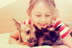 Puglia prima tra le regioni dove il fenomeno dell’abbandono degli animali è più diffuso
