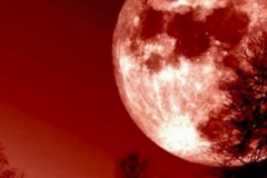 Telescopi puntati per l'eclissi più lunga del secolo: ecco la notte della "Luna rossa"