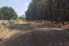 Ambiente: “Bosco Finizio” diventa ‘zona silenziosa di campagna’