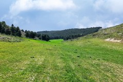 Alta Murgia geoparco Unesco, la soddisfazione del sindaco Bruno