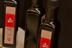 Olio extravergine di oliva di Andria, con Qoco al via la sfida