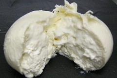 Questa mattina firma del protocollo d’intesa tra Consorzio per la tutela della Burrata (IGP) di Andria ed il Comune