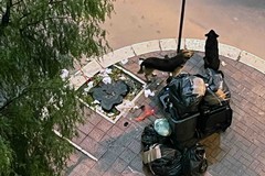 Quartiere Europa: avvistati cani di grossa taglia che banchettano vicino ai bustoni dei rifiuti