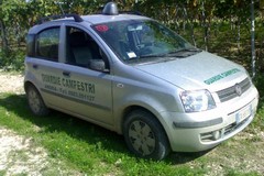Sventato furto di mezzo quintale di pesche da parte delle Guardie campestri