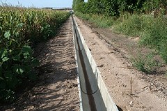 Contrasto alla xylella: Lavori di pulizia e manutenzione dei canali affidati alle aziende agricole
