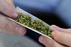 Il 17% degli studenti pugliesi fa uso di cannabis