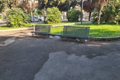 Cartacce e bottigliette "adornano" le panchine di piazza Unità d'Italia