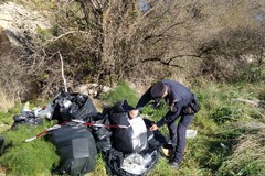 Carabinieri forestali denunciano titolare di un'azienda turistica di Andria