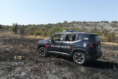 Incendi boschivi Parco dell'Alta Murgia, il 50% in meno nonostante il caldo torrido