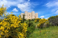 Alba di pace a Castel del Monte un rito magico per il solstizio d'estate