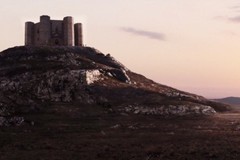 Curriculum di una star: il Castel del Monte