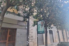 Corso Cavour: scarsa luminosità dai pali della pubblica illuminazione a causa delle magnolie presenti