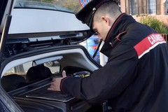 Tornano i predoni dell'oro verde: assalto ad un camion vicino Castel del Monte