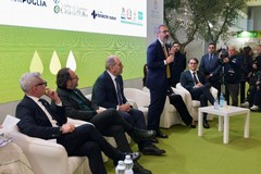 EVOLIO Expo 2026: Andria presente alla 2^ edizione della fiera B2B dell’olio extravergine di oliva