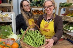 Agricoltura: arrivano le primizie in campo, da fave a piselli