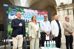 "Coltiviamo l'Italia", on. Matera (FdI): "Puglia ai primi posti per prodotti di qualità"