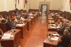 Fondazione Pugliese per le Neurodiversità: chiarezza e impegno dopo il Consiglio comunale del 28 Agosto
